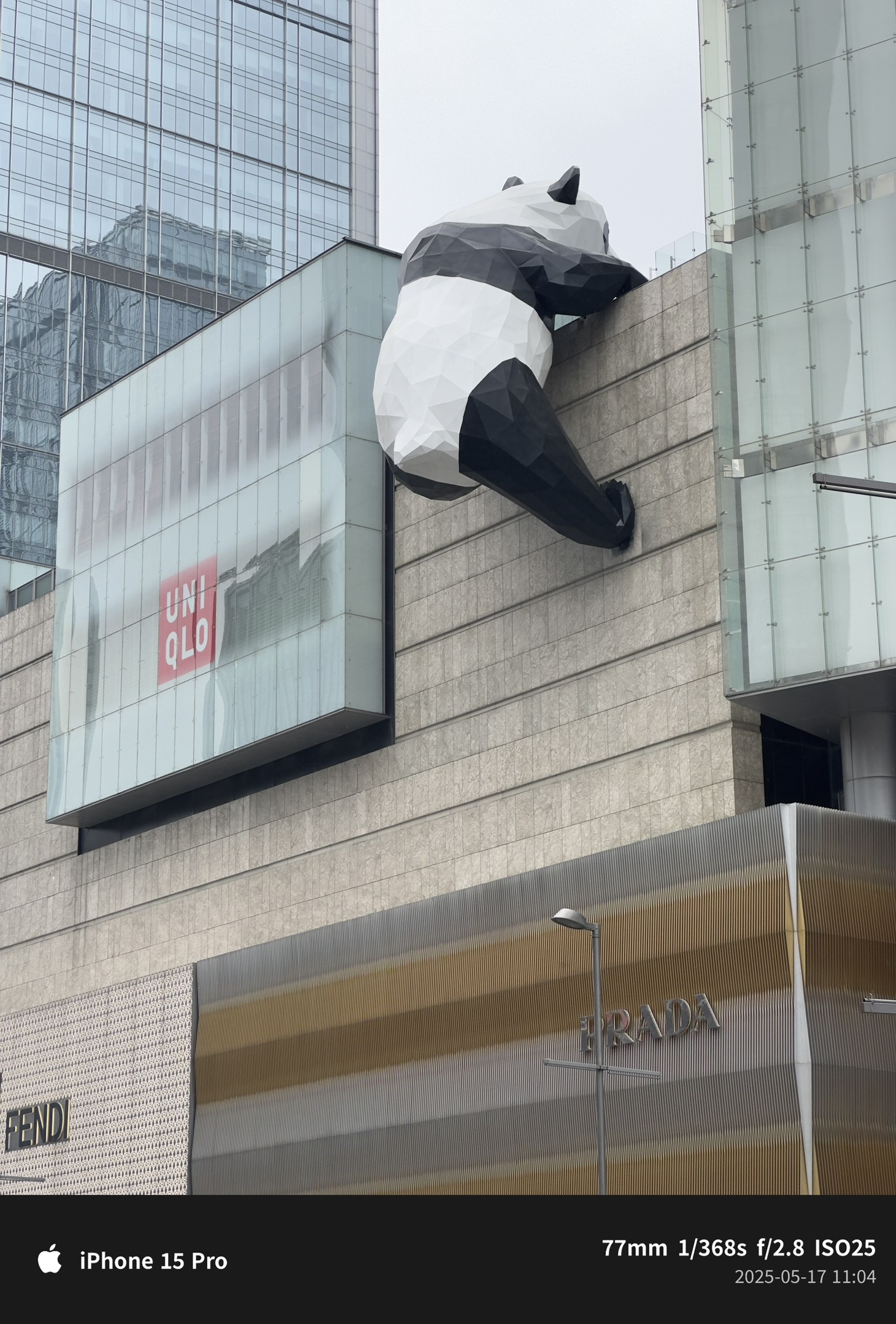 「2025·成都行」Day 2