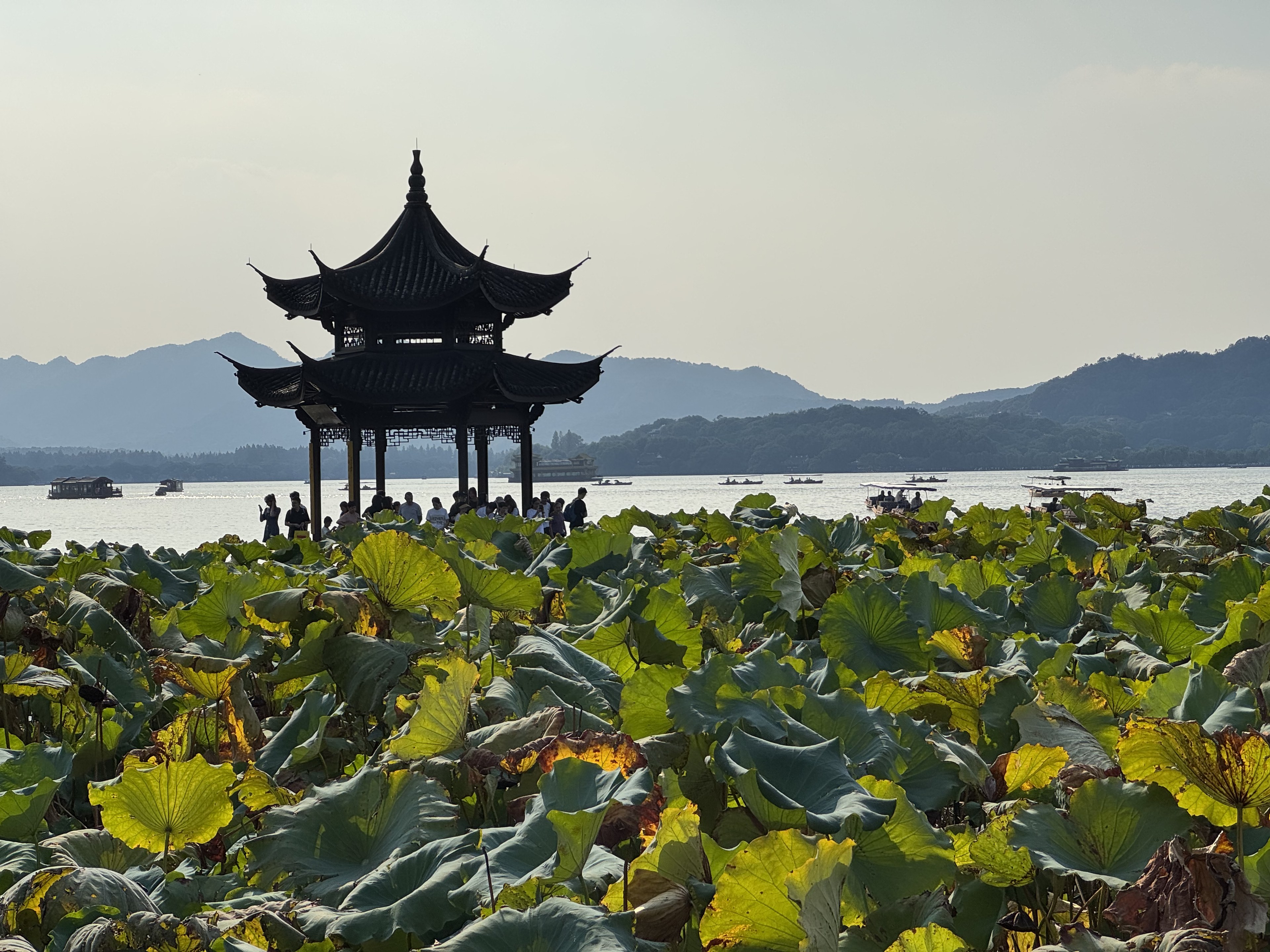 「West Lake」